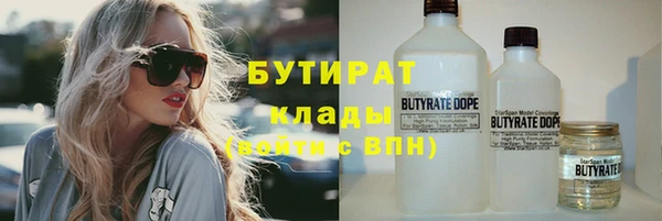 твердый Дмитров