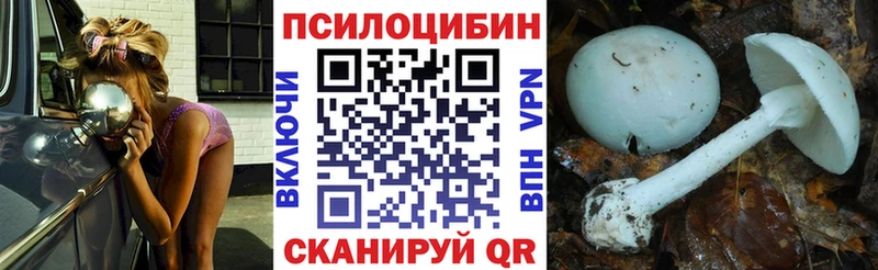 Галлюциногенные грибы мухоморы  наркотики  Хасавюрт 